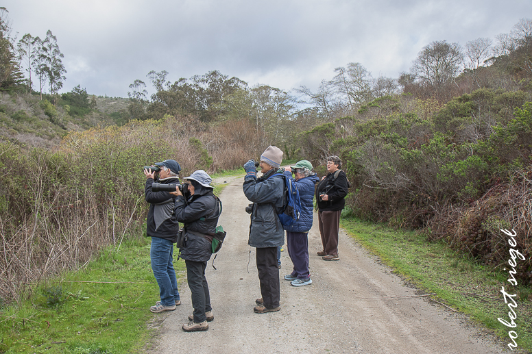 Coast BioBlitz 2025